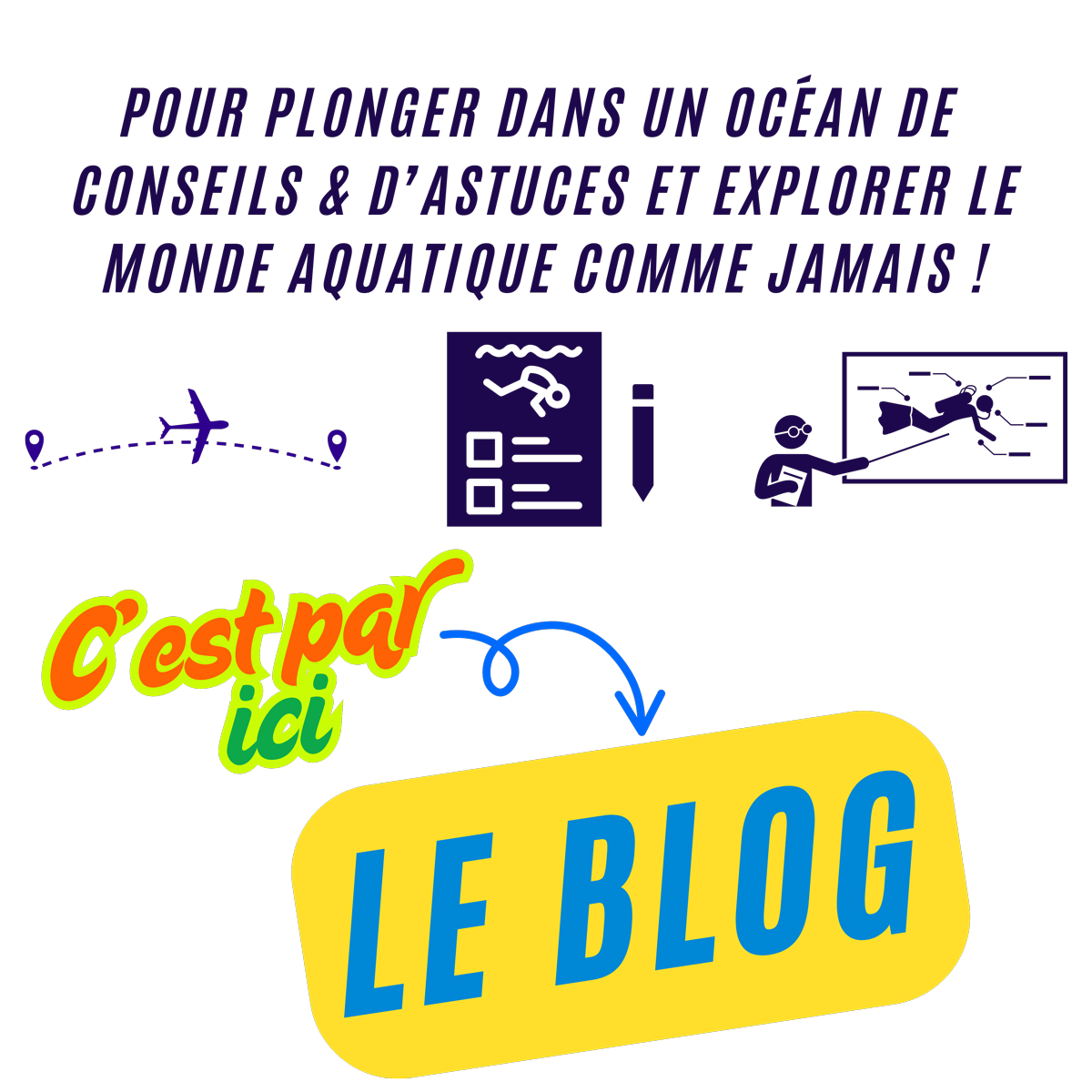 Le blog - Pour plonger dans un océan de conseils et d'astuces et explorer le monde aquatique comme jamais.